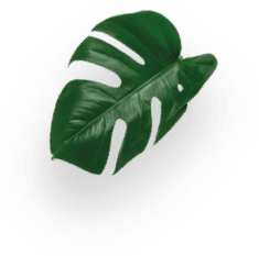 Piccolo XS Black & Anthracite  decoration Image